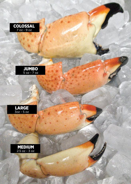 Florida Stone Crab | 8 Jumbo Claws