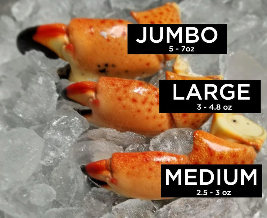 Florida Stone Crab | 8 Jumbo Claws