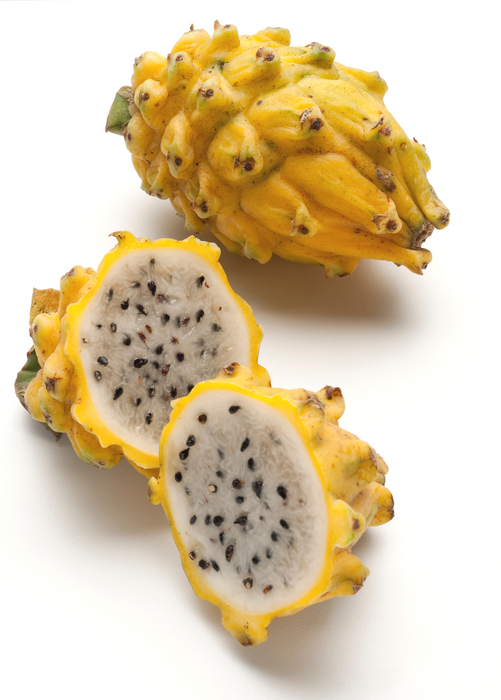 Dragon Fruit, Yellow (Selenicereus megalanthus)