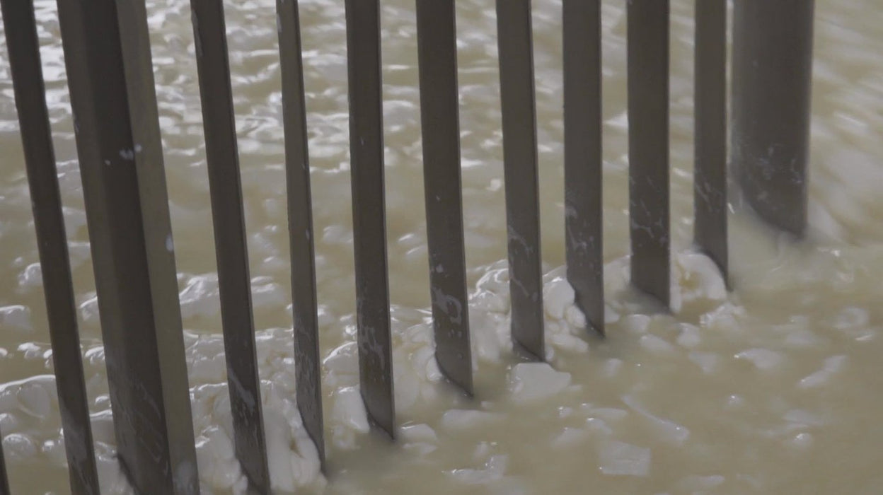 Fresh Grated Genuine Fulvi® Pecorino Romano DOP