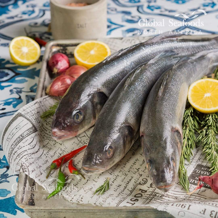 Branzino Whole 5 lbs - Premium European Bass