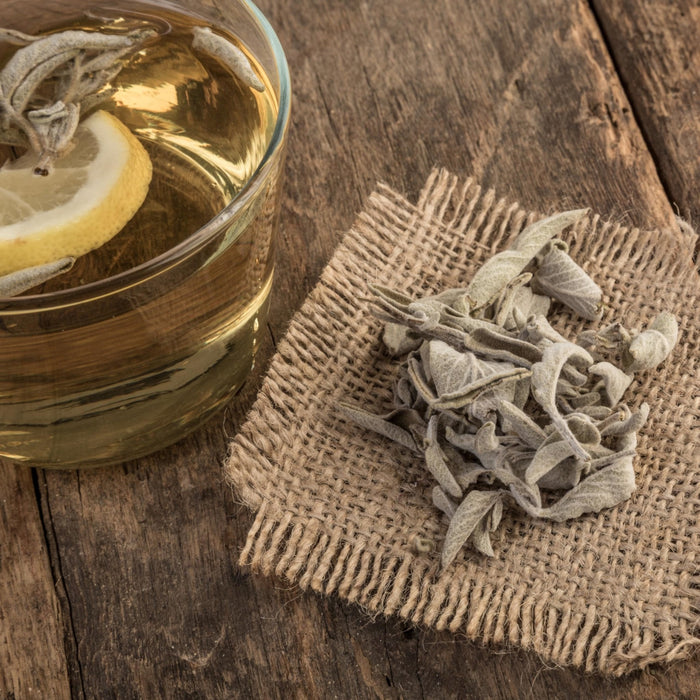 Greek Sage (Ikaria, Blue Zone)