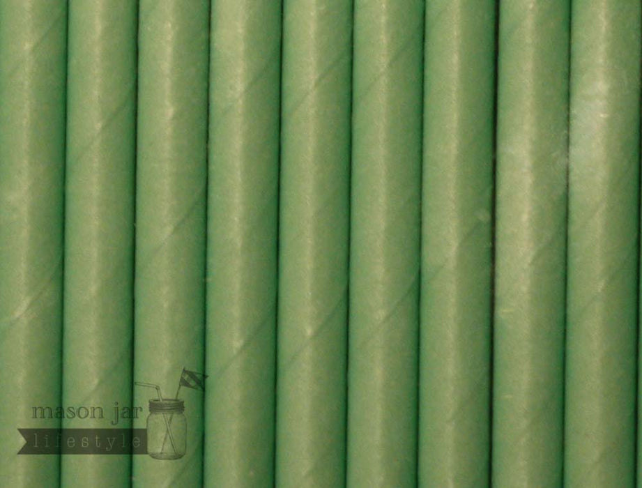 Random 24 Pack Paper Straws