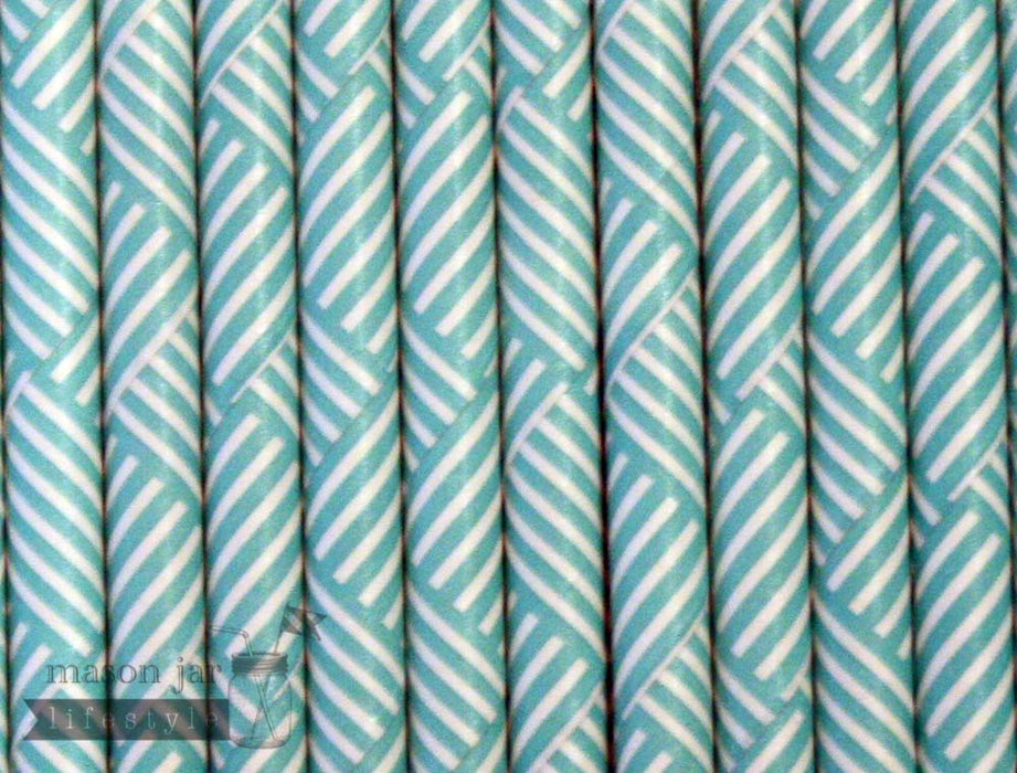 Random 24 Pack Paper Straws