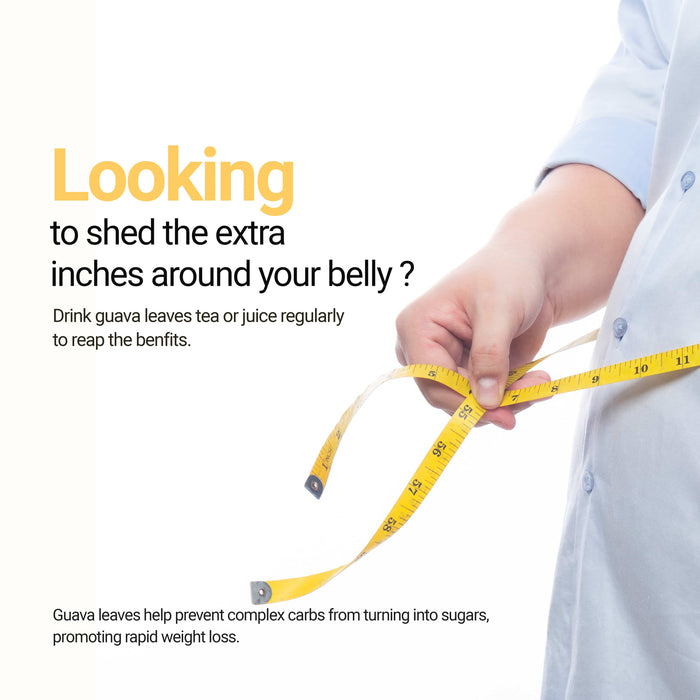 Akshit Dried Guava Leaves ( Hojas De Guayaba ) - 2.6 oz | Pure Guava Leaf for Tea | Feuilles de goyave | Caffeine free, Non GMO, Gluten-free, bio Akshit