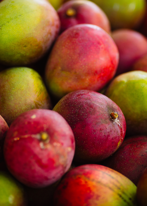 Mango 'Haden' (Mangifera indica)