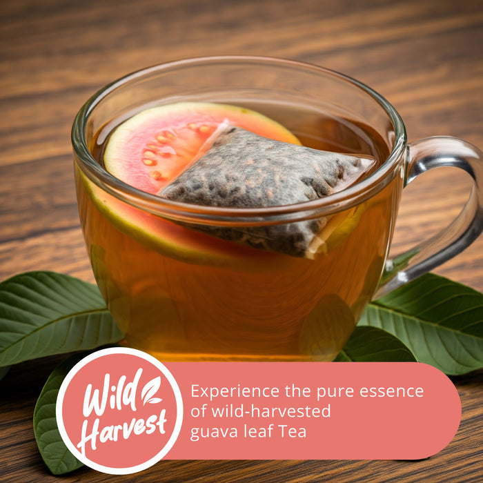Guava Leaf Tea - 50 Bags, 100% Pure Guava Leaves (Te de Hojas de Guayaba) - Non-GMO, Vegan, Caffeine-Free