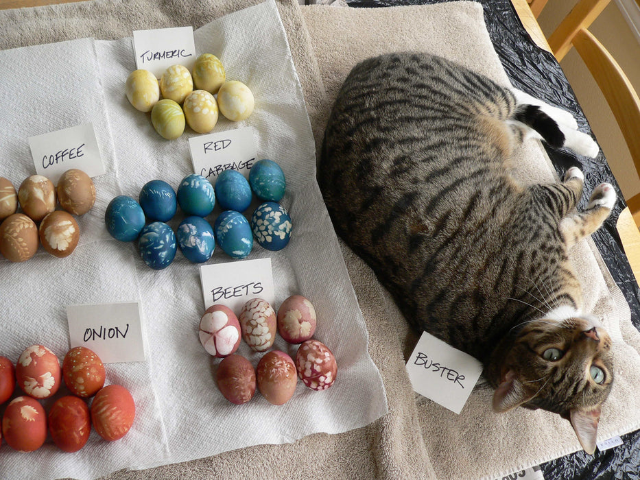 Peace, Love and Gardening: Understanding Pacific Northwest Gardens and Do-It-Yourself Projects to Beautify Them – From the Best of the Pecks' Columns