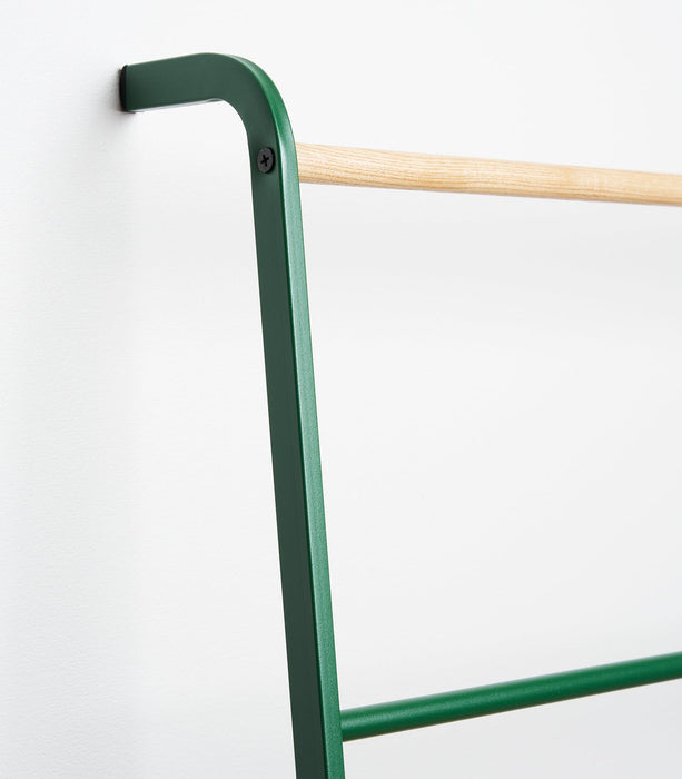 Leaning Storage Ladder (63" H)  - Steel - Forest Green