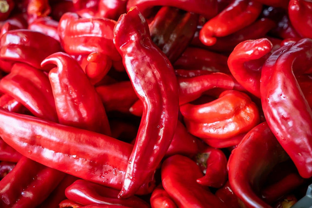 Fresh Hatch Red Chile