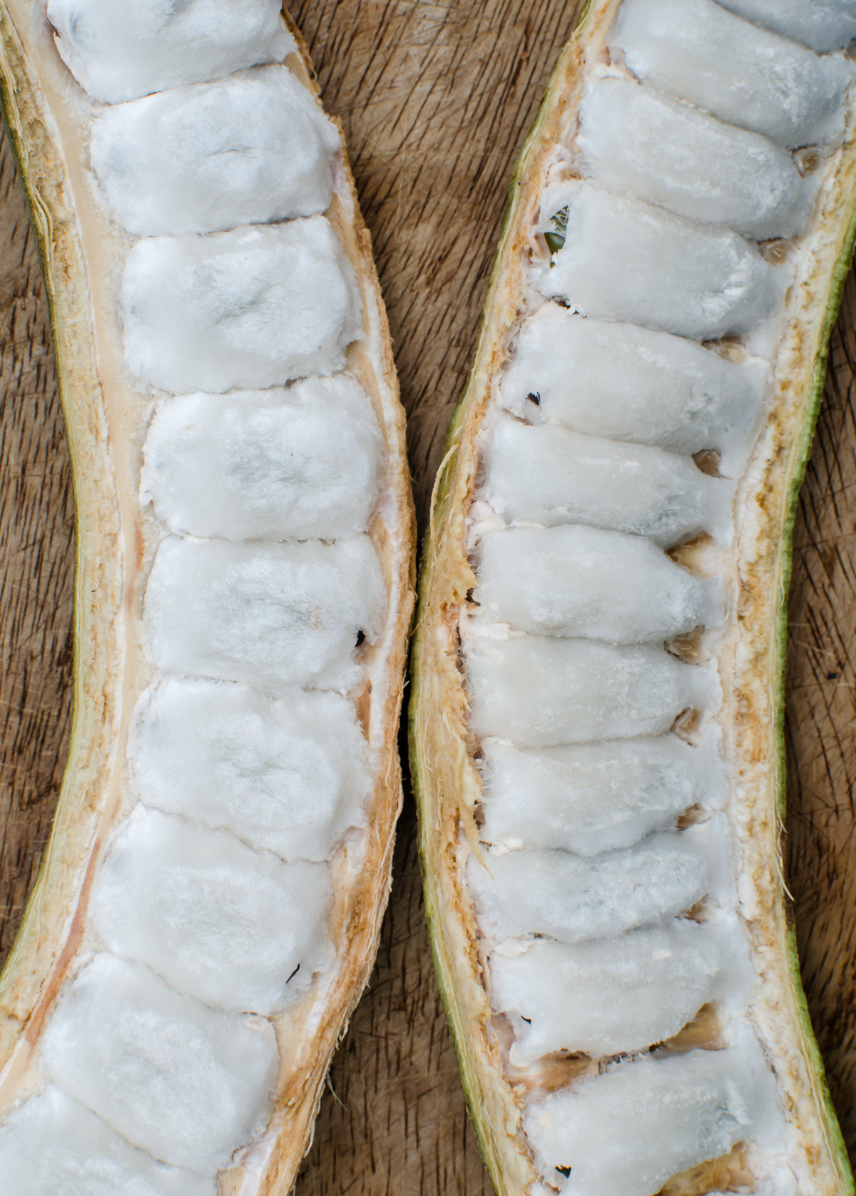 Ice Cream Bean (Inga edulis) — Specialty Food Source