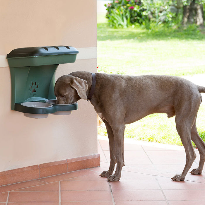 Bama Pet Mountable Food Stand with Storage Compartment, Green, Average Dog Size