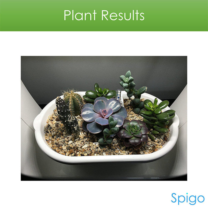 Spigo Intelligent Indoor LED Light Garden, Matte Black