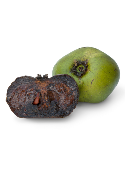Black Sapote ‘Wilson’ (Diospyros nigra)