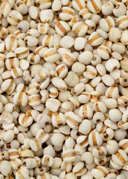 Job's Tears (Coix lacryma-jobi)