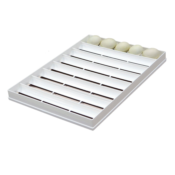 Egg Setter Tray - Goose - 40 Eggs