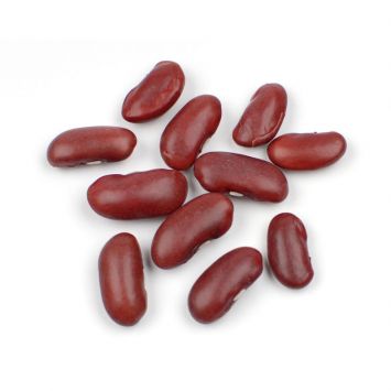 Premium Dried Red Kidney Beans, featured in our Essential Pantry collection, displaying their vibrant red color and dry texture.