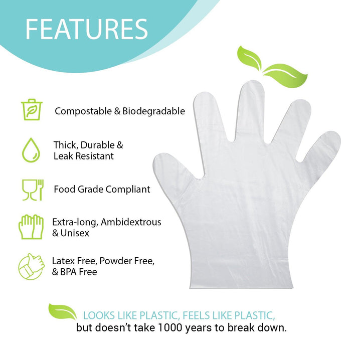 Kids Youth-Size Compostable Disposable Gloves - Clear (100 gloves/box)