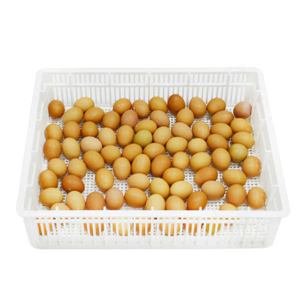 Egg Basket - 80 Eggs -(CS80Y)