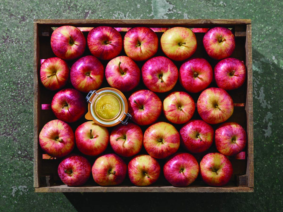 Le Parfait Super Terrines