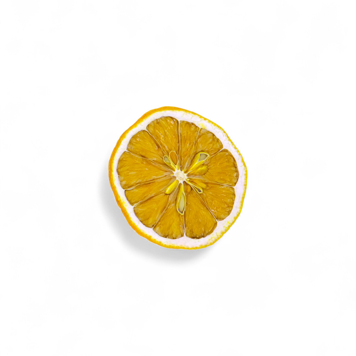 Lisbon Lemon Dehydrated Cocktail Garnish
