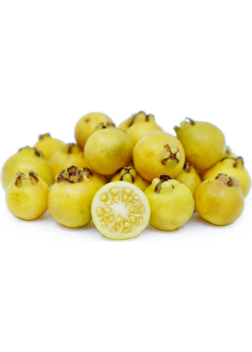 Guava, Lemon (Psidium littorale)