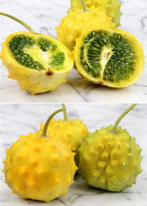 Kiwano, Yellow Round (Cucumis metuliferus)