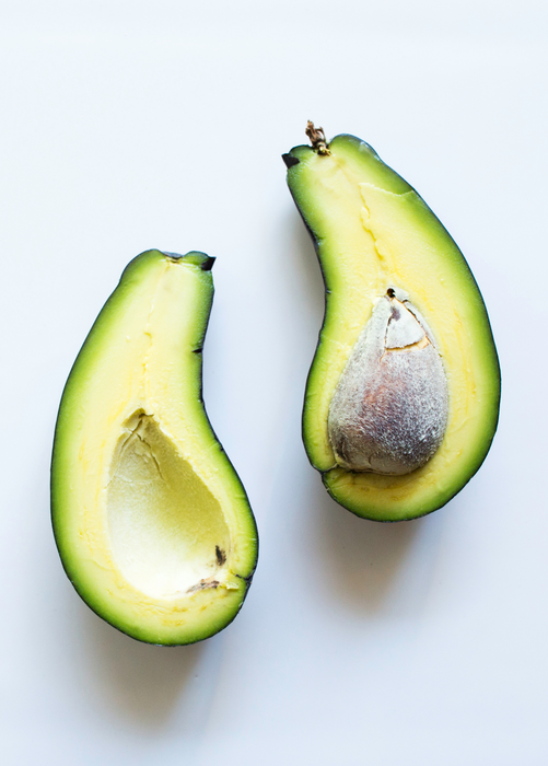 Avocado 'Mexicola' (Persea americana)