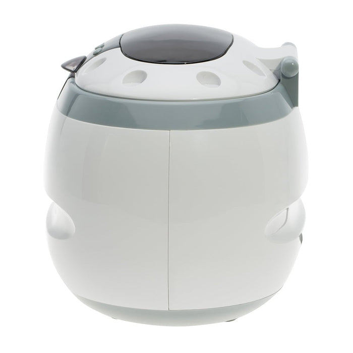 Mini Ultrasonic Cleaner with Stainless Steel Tank - 0.6 Liters