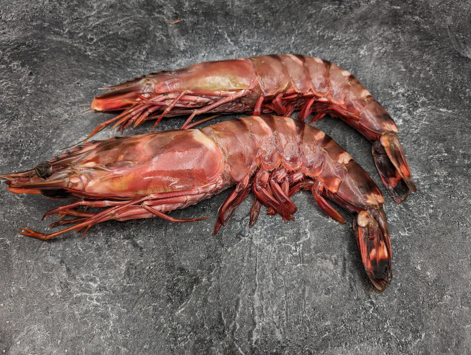 Monster African Tiger Prawns | Wild Caught