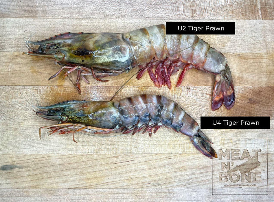 Monster African Tiger Prawns | Wild Caught