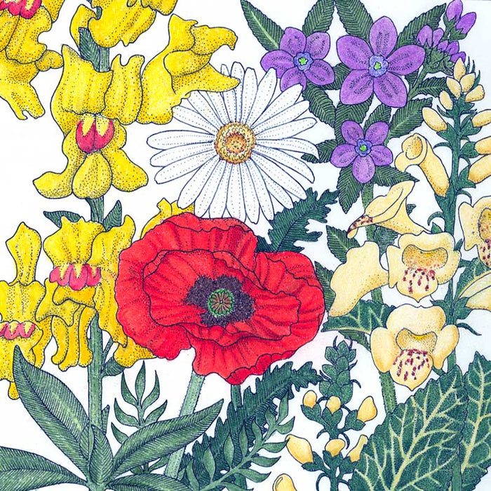 North American Shade Wildflower Mix (lb)