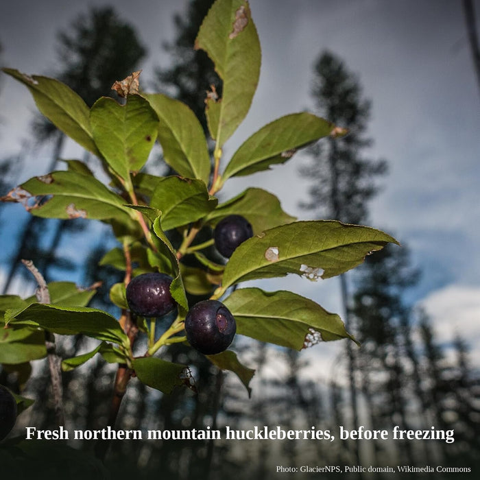 Frozen Northern Mountain Huckleberries, Whole Berries, 5 lb
