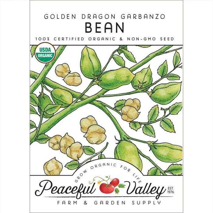 Garbanzo Golden Dragon Bush Bean Seeds (Organic)