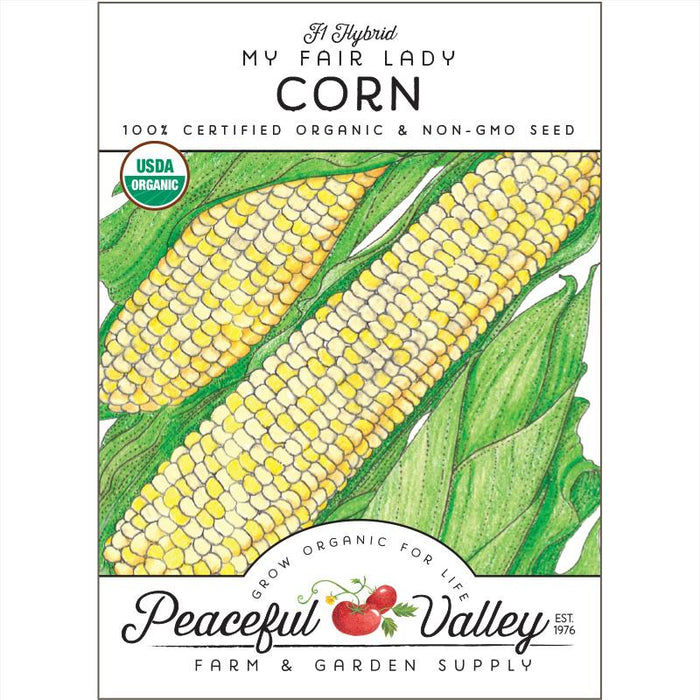 My Fair Lady Corn Seeds (Organic)