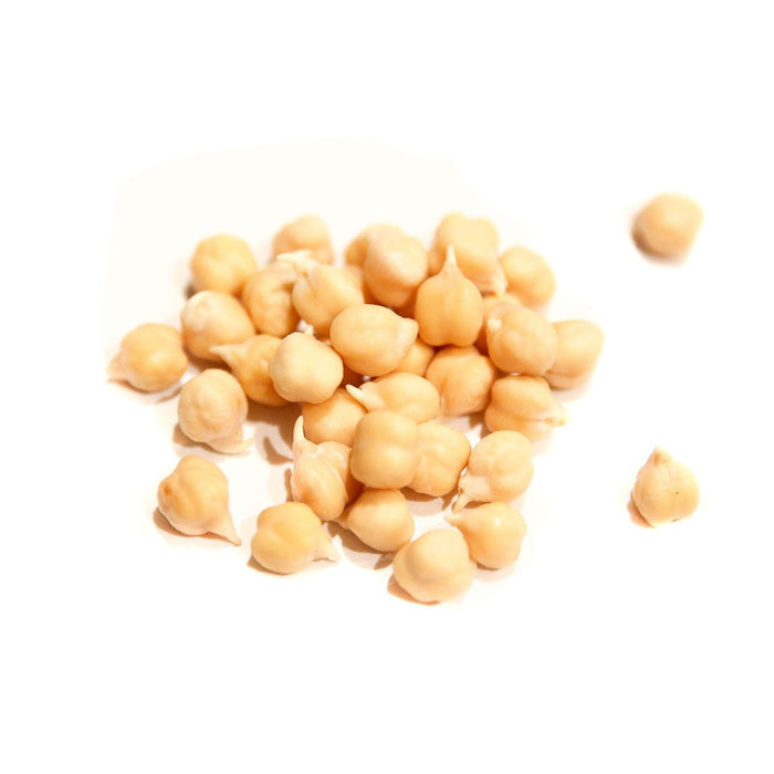 Organic Garbanzo Bean Sprouting Seed