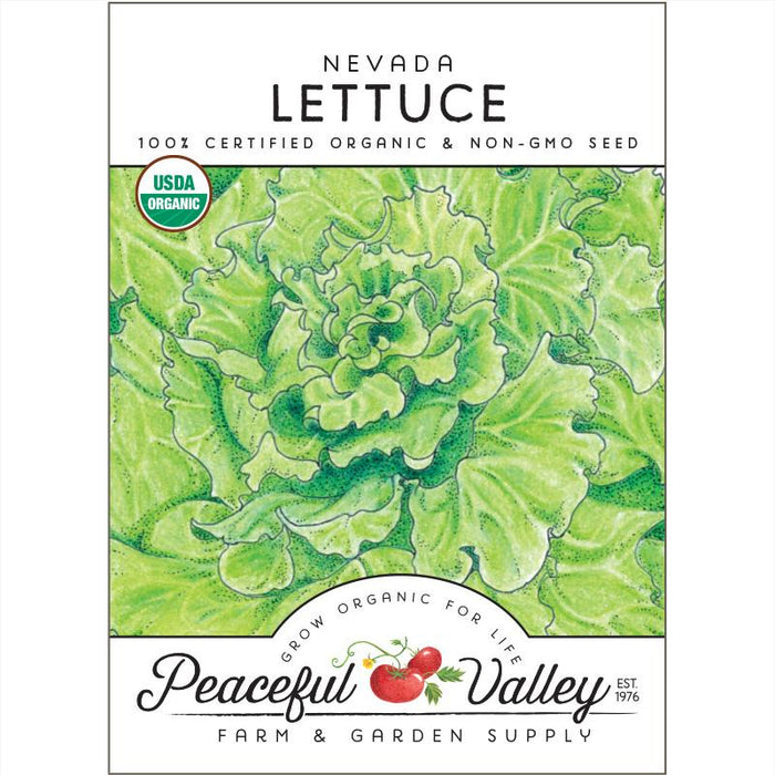 Nevada Lettuce Seeds (Organic)