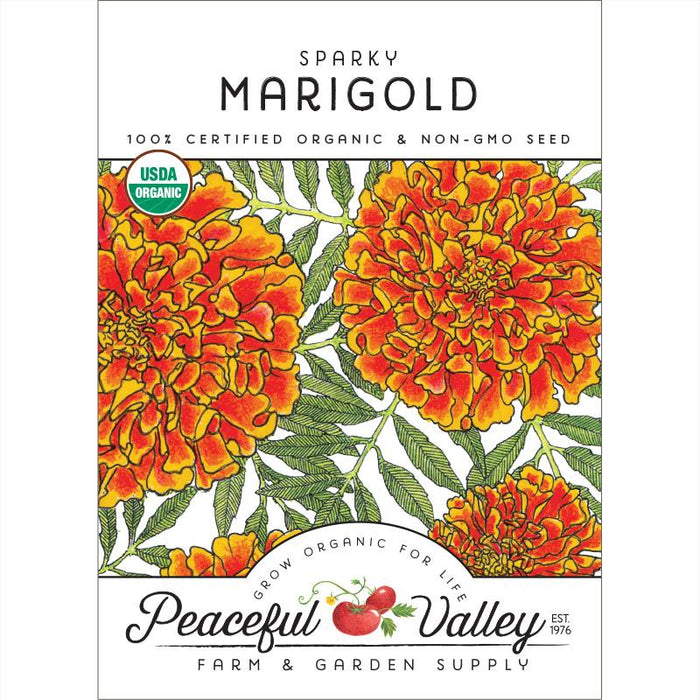 Sparky Marigold Seeds (Organic)