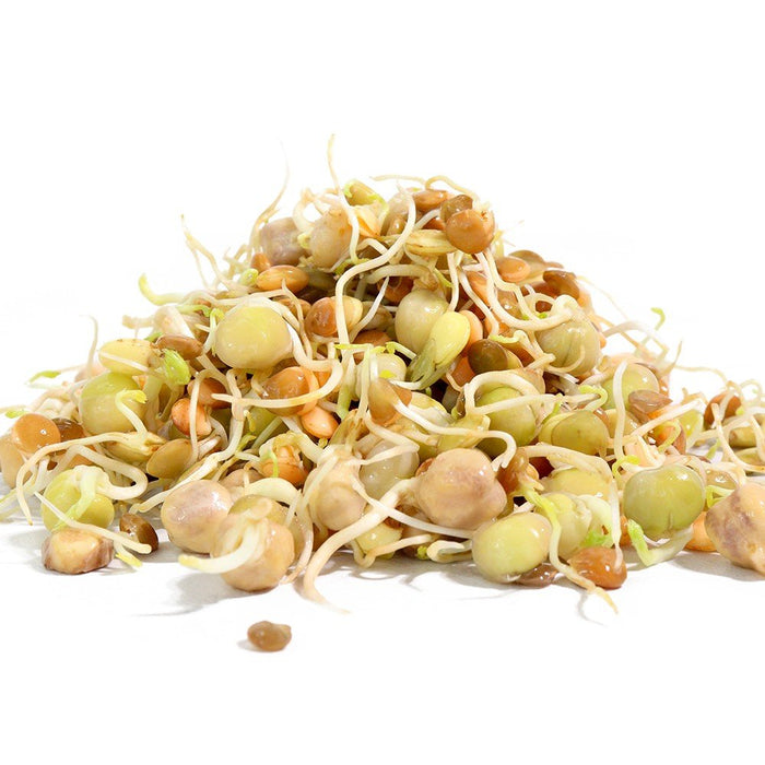 Organic Power Protein Sprouting Seed