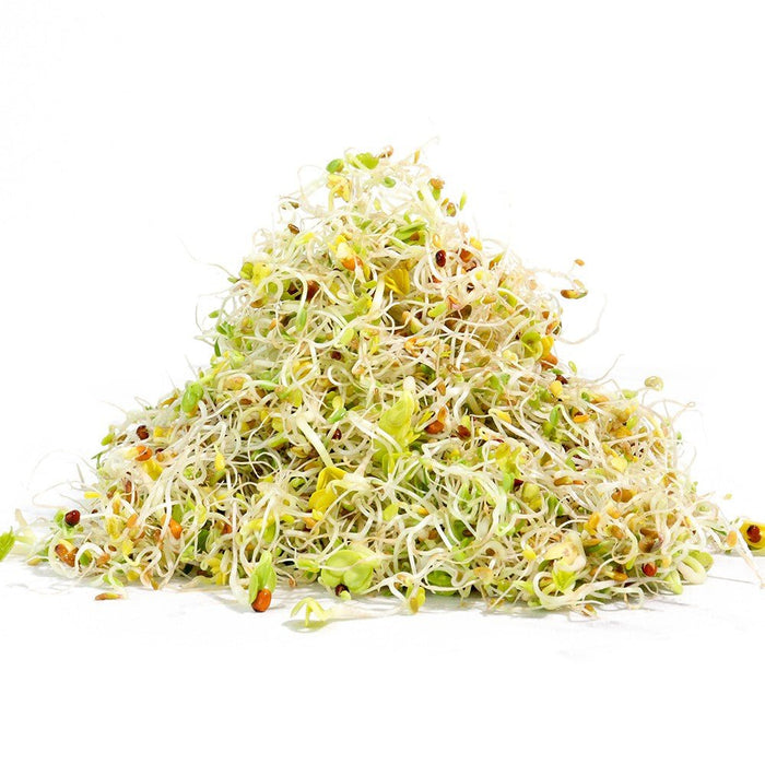 Organic Salad Mix Sprouting Seed