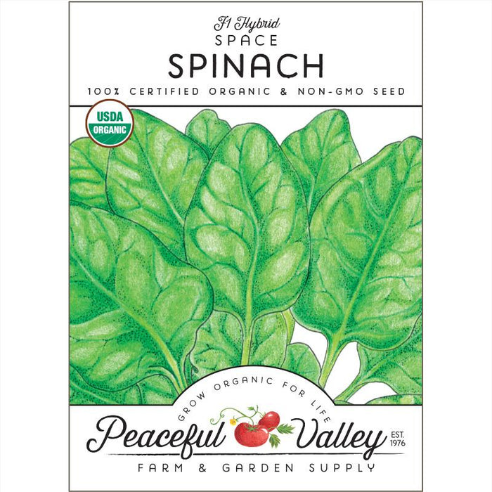 Space Spinach Seeds (Organic)