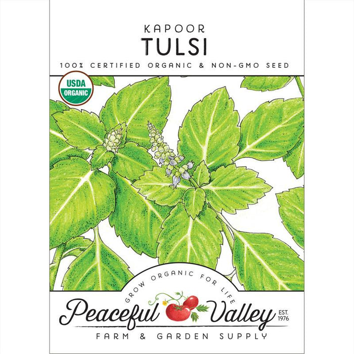 Kapoor Tulsi Seeds (Organic)