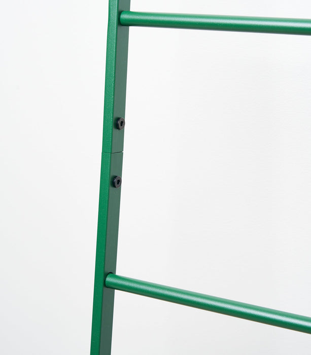 Leaning Storage Ladder (63" H)  - Steel - Forest Green