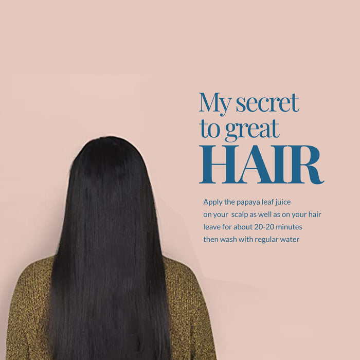 Akshit Papaya Leaves, Hojas de papaya, 2.6oz, Dried From Green Papaya Leaf, Herbal Tea, Non GMO, Caffeine free, Sugar free, Rich In Vitamins.