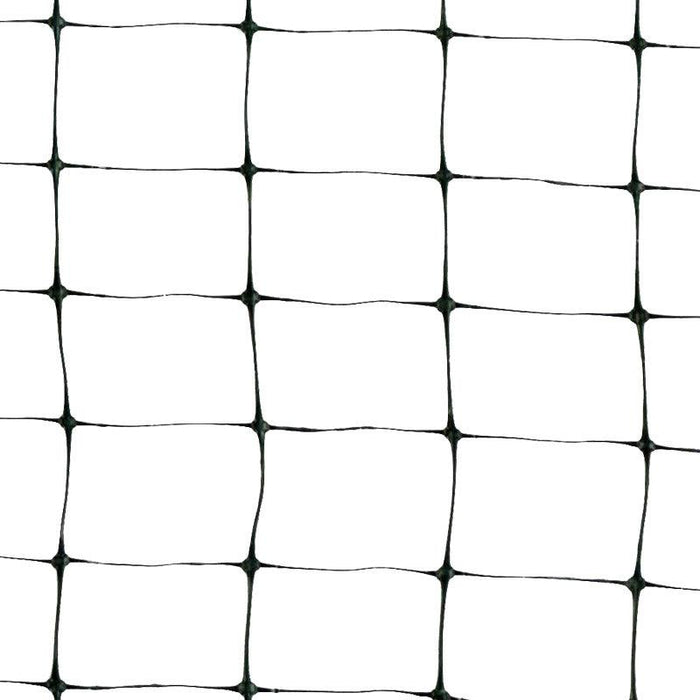 Bird & Pond Netting (28' X 28')