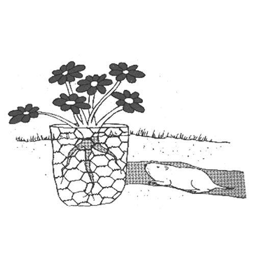 Gopher Wire (4' x 100' roll)