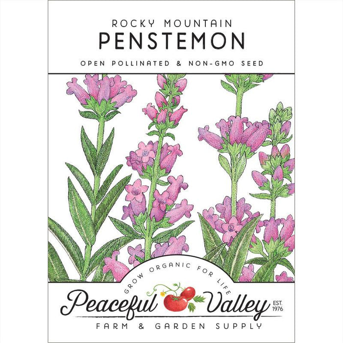 Penstemon, Rocky Mountain (pack)