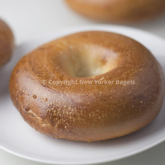 Plain Bagels