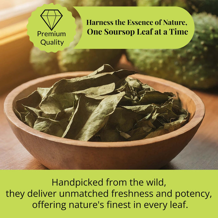 200+ Whole Dried Soursop Leaves – 2.6 oz , 100% Natural Soursop Tea (Graviola Leaves), Caffeine-Free Herbal Tea (Hoja Guanabana)