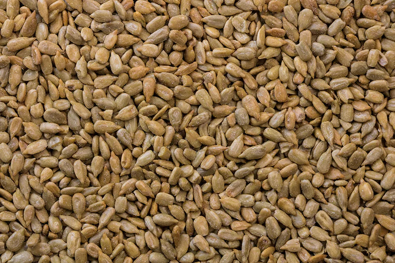 Woodstock Farms Roasted & Salted Sunflower Seeds - Non-GMO, 11 oz, Pack of 12